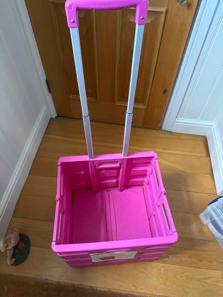 Photo of free Plant / trolley (Penn Bucks) #2