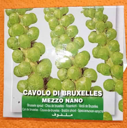 Photo of free 3 Varieties Of Vegetable Seeds (Bordesley, Redditch B97) #3