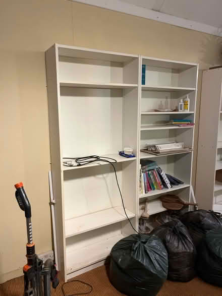 Photo of free Shelves (Forest row) #1