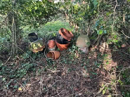 Photo of free Collection of large plant pots (Four Crosses, SY22) #1