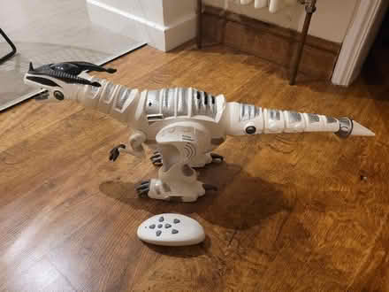 Photo of free Mega rex remote control dinosaur (Lower Walkley S6) #1