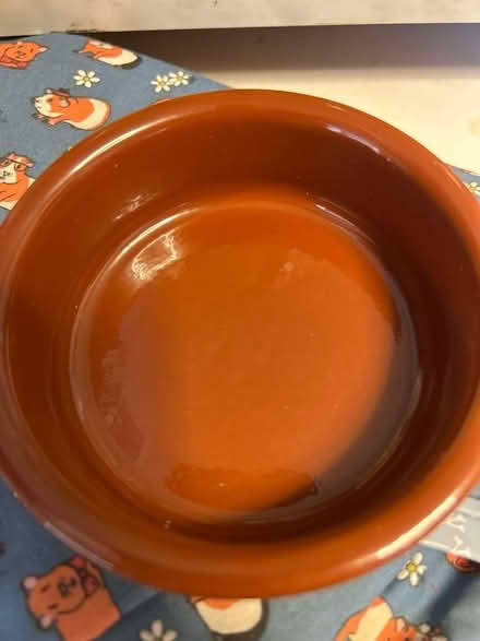 Photo of free Terracotta dish (Gillingham ME7) #1