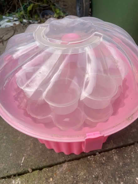 Photo of free Cupcake holder (Mayford, Woking) #1
