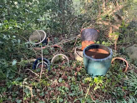 Photo of free Collection of large plant pots (Four Crosses, SY22) #2