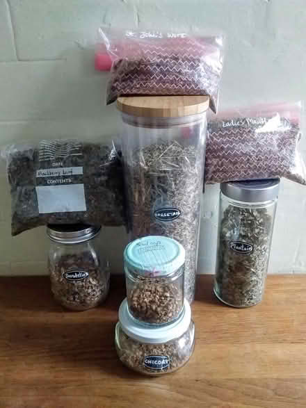 Photo of free Various dried herbs (Shepherds Bush W12) #1