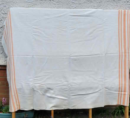 Photo of free blanket (Bexhill on Sea) #1