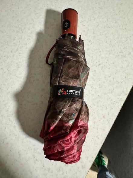 Photo of free Umbrella (Letchworth SG6) #2