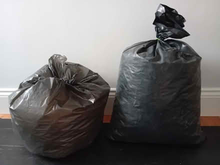 Photo of free Two large bags of polystyrene packing peanuts (Clewer New Town SL4) #1