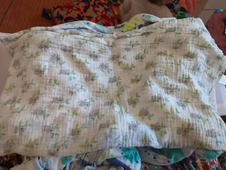 Photo of free Baby bundle - muslins, Two gro bags and mesh cot bumper (Surbiton KT5) #4