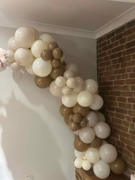 Photo of free Baloon arch (CR2) #1