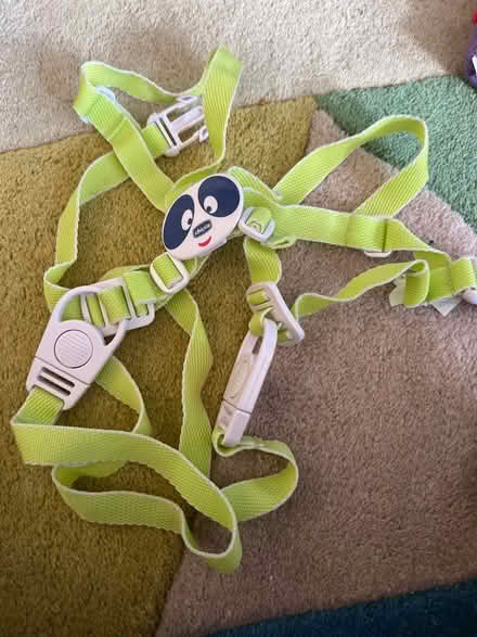 Photo of free Kids safety lead (West acton - W3) #3