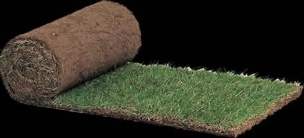 Photo of Bits of turf for grass patches (Winnersh RG41) #1