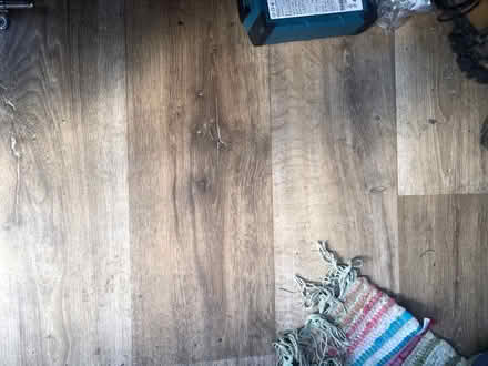Photo of free Lino (Oakwood LS8) #2
