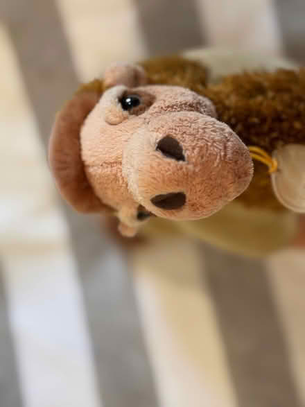 Photo of free Toy Camel (Stone Cross BN23) #1
