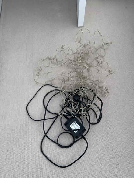 Photo of free Lighting net (Port Hall BN1) #3