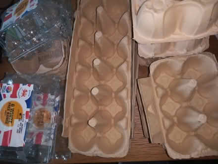 Photo of free Many egg trays (Saint Philip's S1) #1
