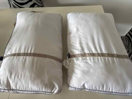 Photo of free Two Down Alternative Pillows (Richmond TW10) #1