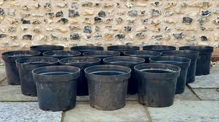 Photo of free 10 Litre plant pots (East Marden) #2