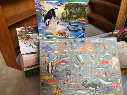 Photo of free Multiple puzzles (500, 750 & 1000p) (Monta Vista) #3