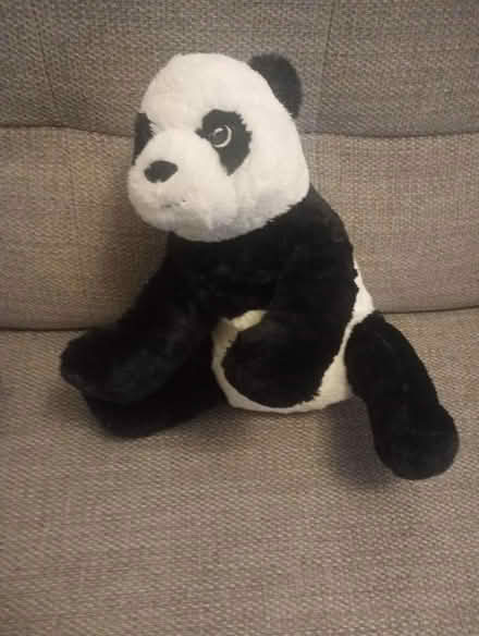 Photo of free Panda soft toy (Weybridge KT13) #1