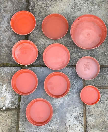 Photo of free 10 plastic plant saucers (East Marden) #2