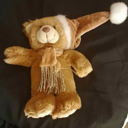 Photo of free Christmas teddy bear (CB4) #1