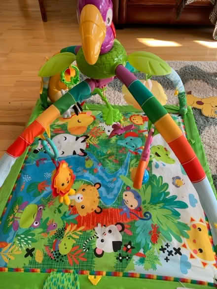 Photo of free Baby rainforest play gym (Mount Florida G44) #1