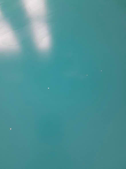 Photo of free Dining table (St. Leonards) #3