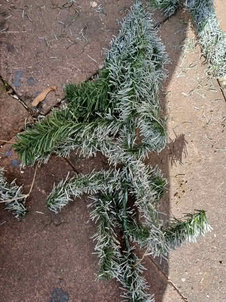 Photo of free Artificial Xmas Tree branches for Wreath Making (Ettingshall WV4) #2