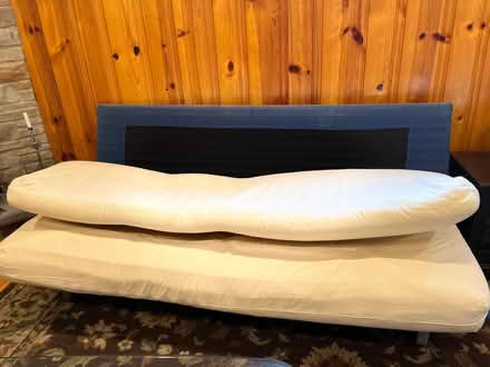 Photo of free Sofa bed with mattress and a rug (Victoria Village) #3