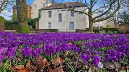 Photo of Animal or Rabbit hutch (Penrith, CA11) #1
