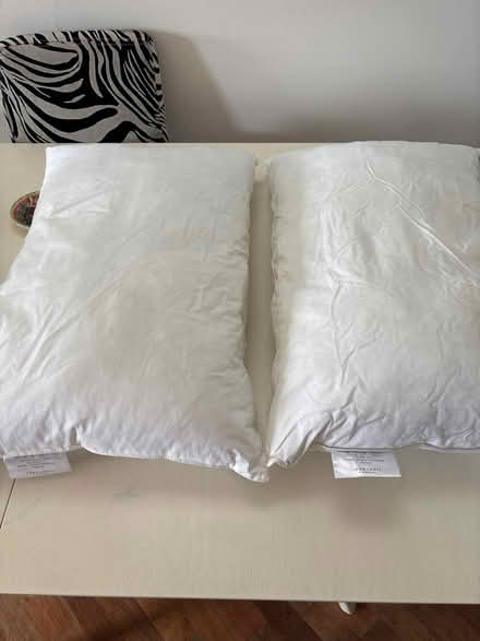 Photo of free Two John Lewis pillows (Richmond TW10) #1