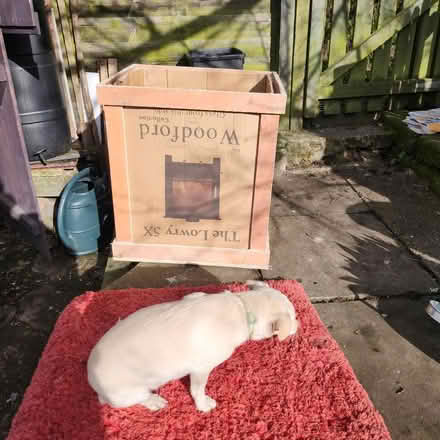 Photo of free Big box (Cromford DE4) #1