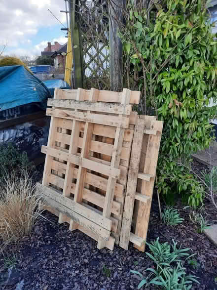 Photo of free Wooden pallets (Potters Bar, EN6) #1