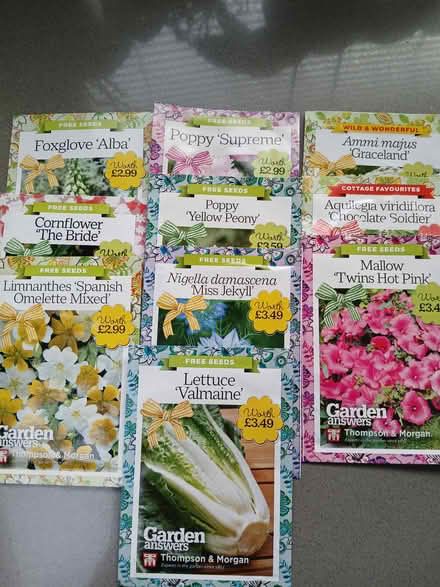 Photo of free Packets of seeds, Histon (Histon, Cambridge) #1