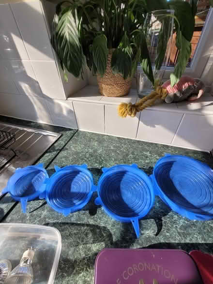 Photo of free Silicone bowl tops (Knaresborough HG5) #1