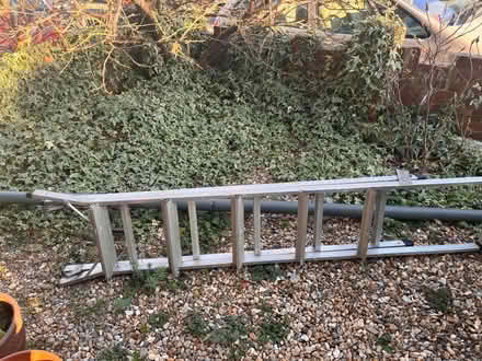 Photo of free Ladders (Walthamstow village) #1