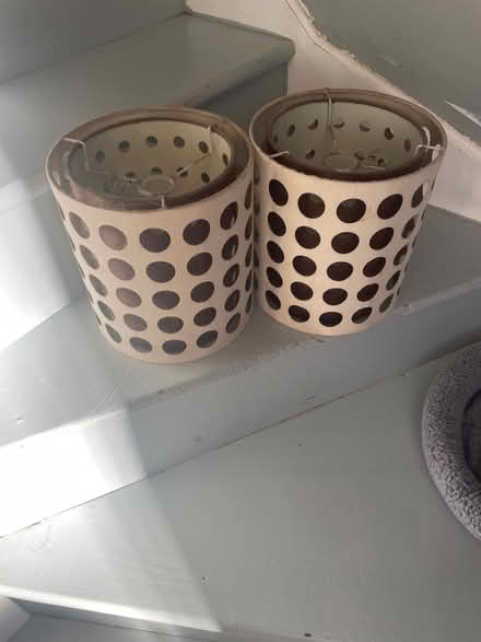 Photo of free 2 lamp shades (At albans) #1