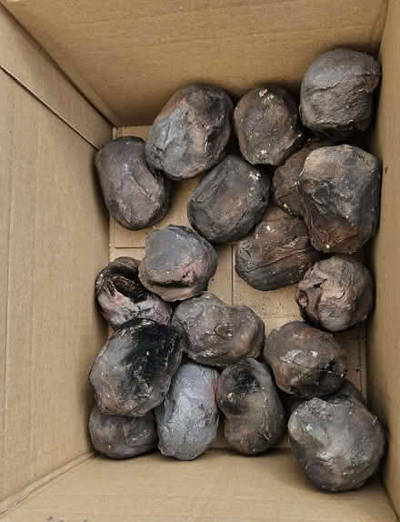 Photo of free Ceramic coals for gas fire (Clevedon BS21) #1