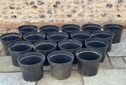 Photo of free 10 Litre plant pots (East Marden) #1
