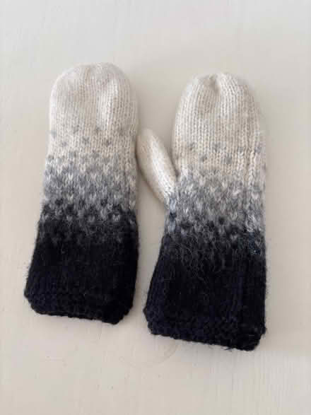 Photo of free Fleece lined winter mittens (Richmond TW10) #1