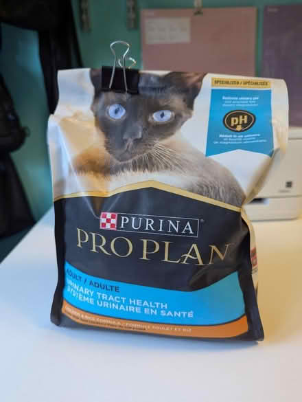 Photo of free Dry Cat Food (East Cambridge) #1