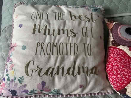Photo of free 2 cushions (Whaddon GL52) #2