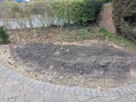 Photo of free Astroturf (CW8) #2