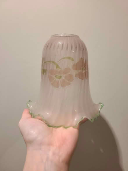 Photo of free Glass Pink & Green Floral Lampshade (Prestwich M25) #1