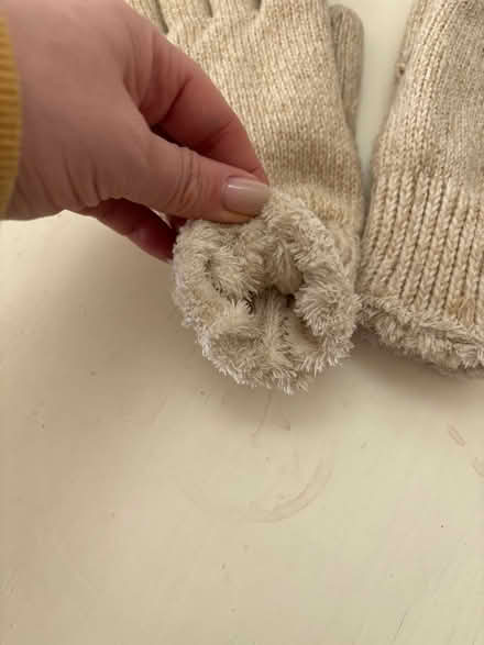 Photo of free Fleece-lined winter gloves (Richmond TW10) #3