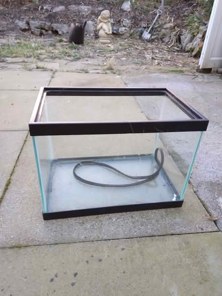 Photo of free Fish tank (FY3 whitegate drive) #1