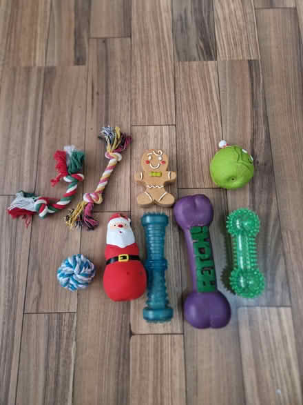Photo of free Dog Toys (Wallasey) #1