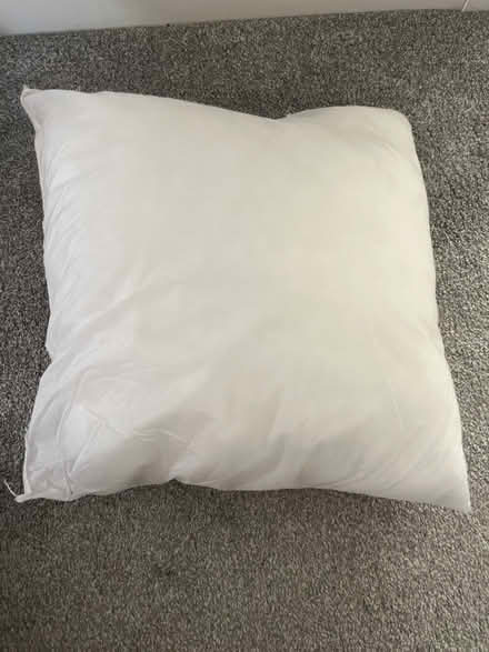 Photo of free Cushion without cover (B74) #1