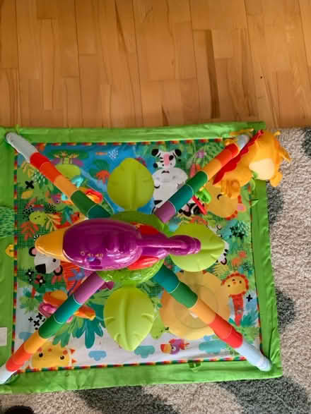 Photo of free Baby rainforest play gym (Mount Florida G44) #3
